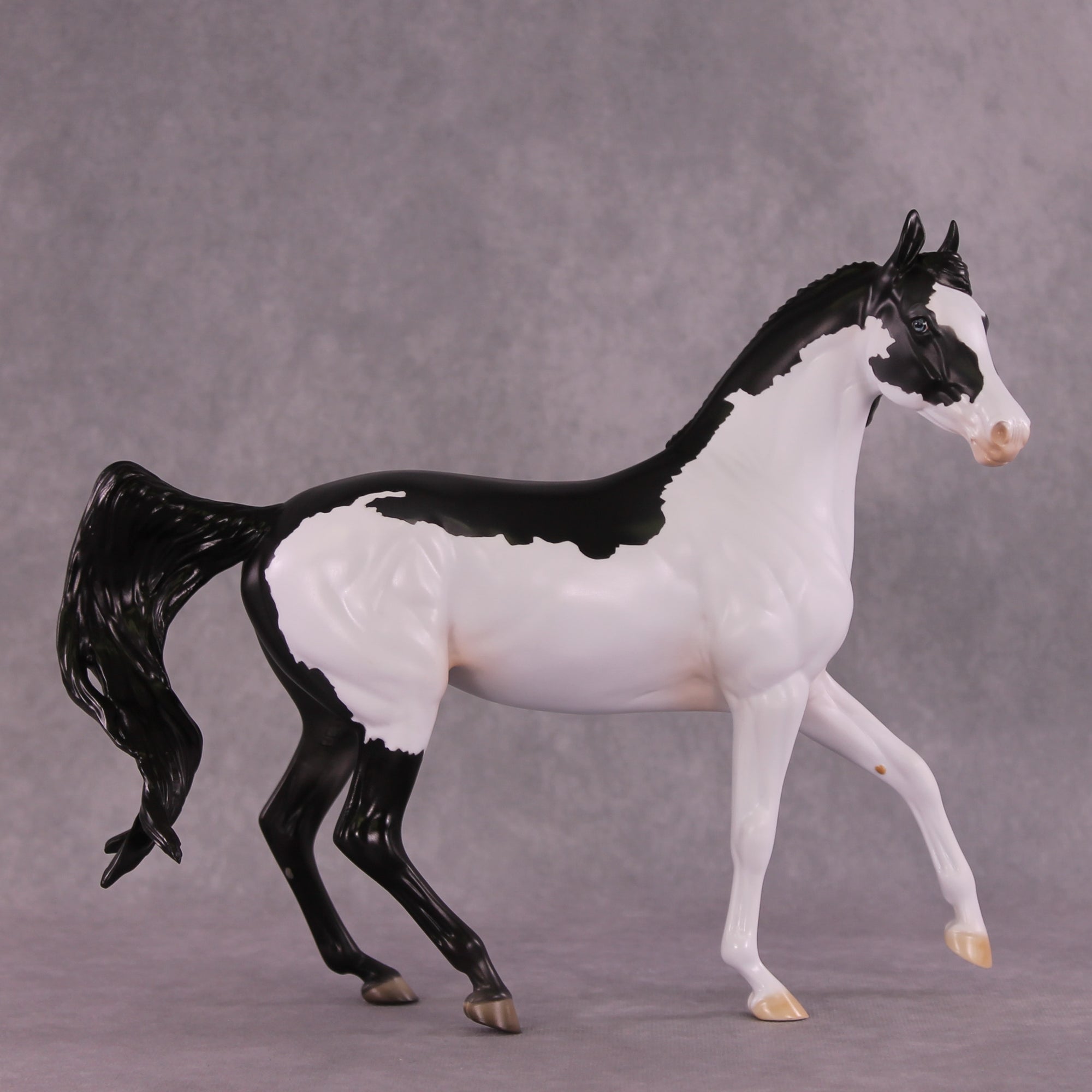 "Minerva" OOAK FCM Arab Mare by Dawn Quick EQ25