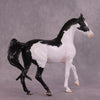 &quot;Minerva&quot; OOAK FCM Arab Mare by Dawn Quick EQ25