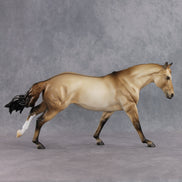 June Special Design-A-Horse FCM Arabian Mare SDAH26