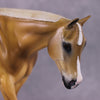 &quot;Ima Erins Fault&quot; OOAK EFCM Western Pleasure By Tiffany Purdy Best Offer 5/27/25