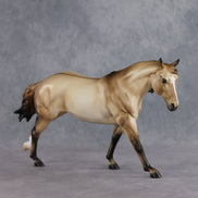 June Special Design-A-Horse FCM Arabian Mare SDAH26