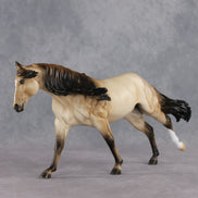 June Special Design-A-Horse FCM Arabian Mare SDAH26