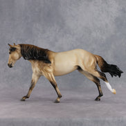 June Special Design-A-Horse FCM Arabian Mare SDAH26