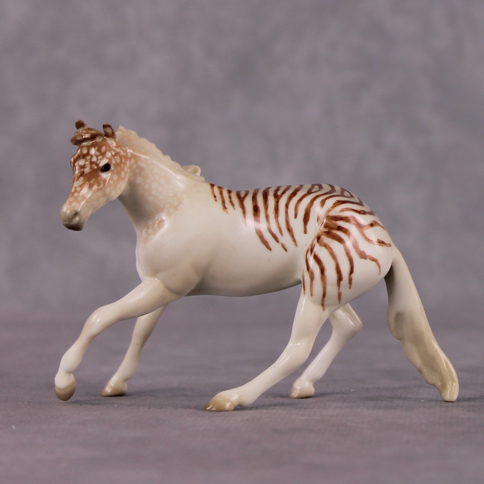 "Nautilus" OOAK Glossy  Nautilus Fish Inspired Cutter Chip by Jess Hamill