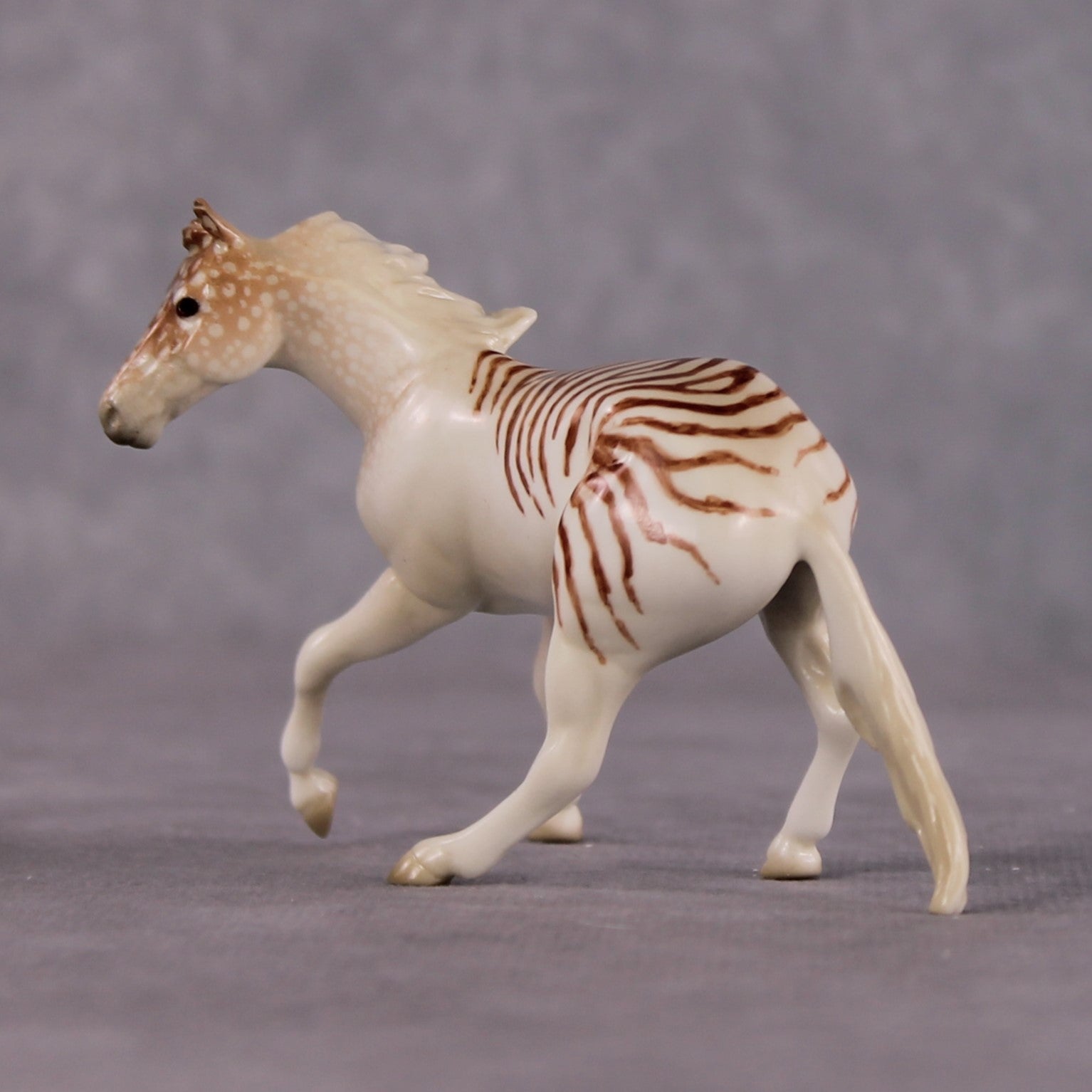 "Nautilus" OOAK Glossy  Nautilus Fish Inspired Cutter Chip by Jess Hamill