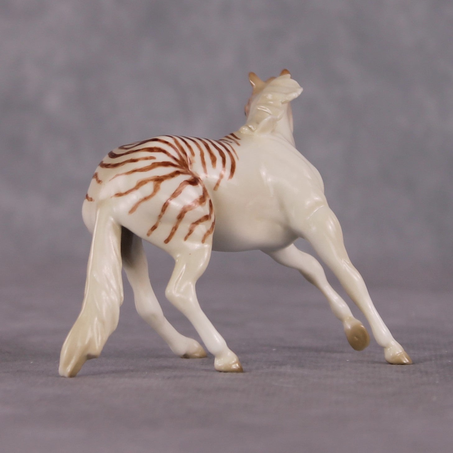 "Nautilus" OOAK Glossy  Nautilus Fish Inspired Cutter Chip by Jess Hamill