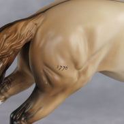 June Special Design-A-Horse FCM Arabian Mare SDAH26