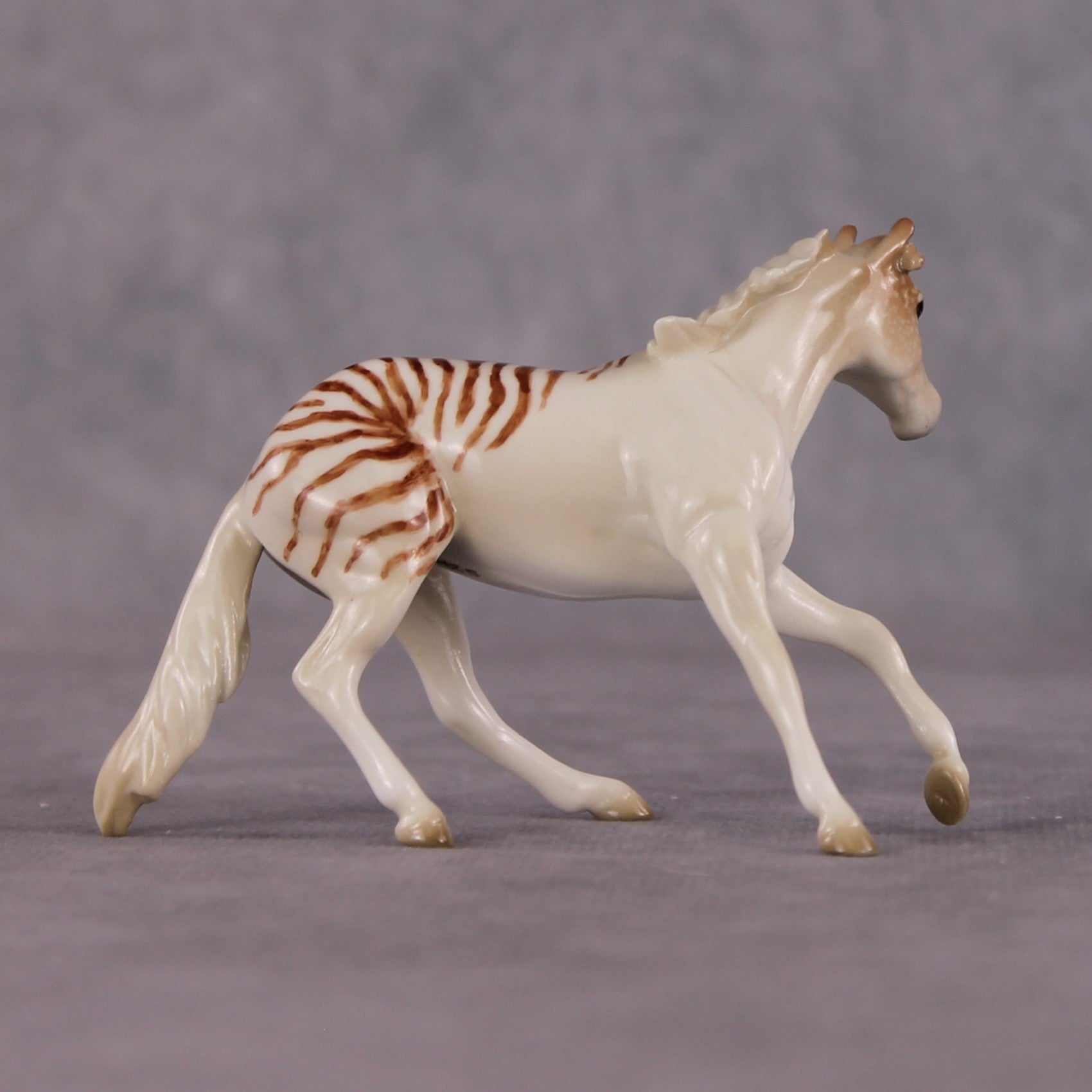 "Nautilus" OOAK Glossy  Nautilus Fish Inspired Cutter Chip by Jess Hamill