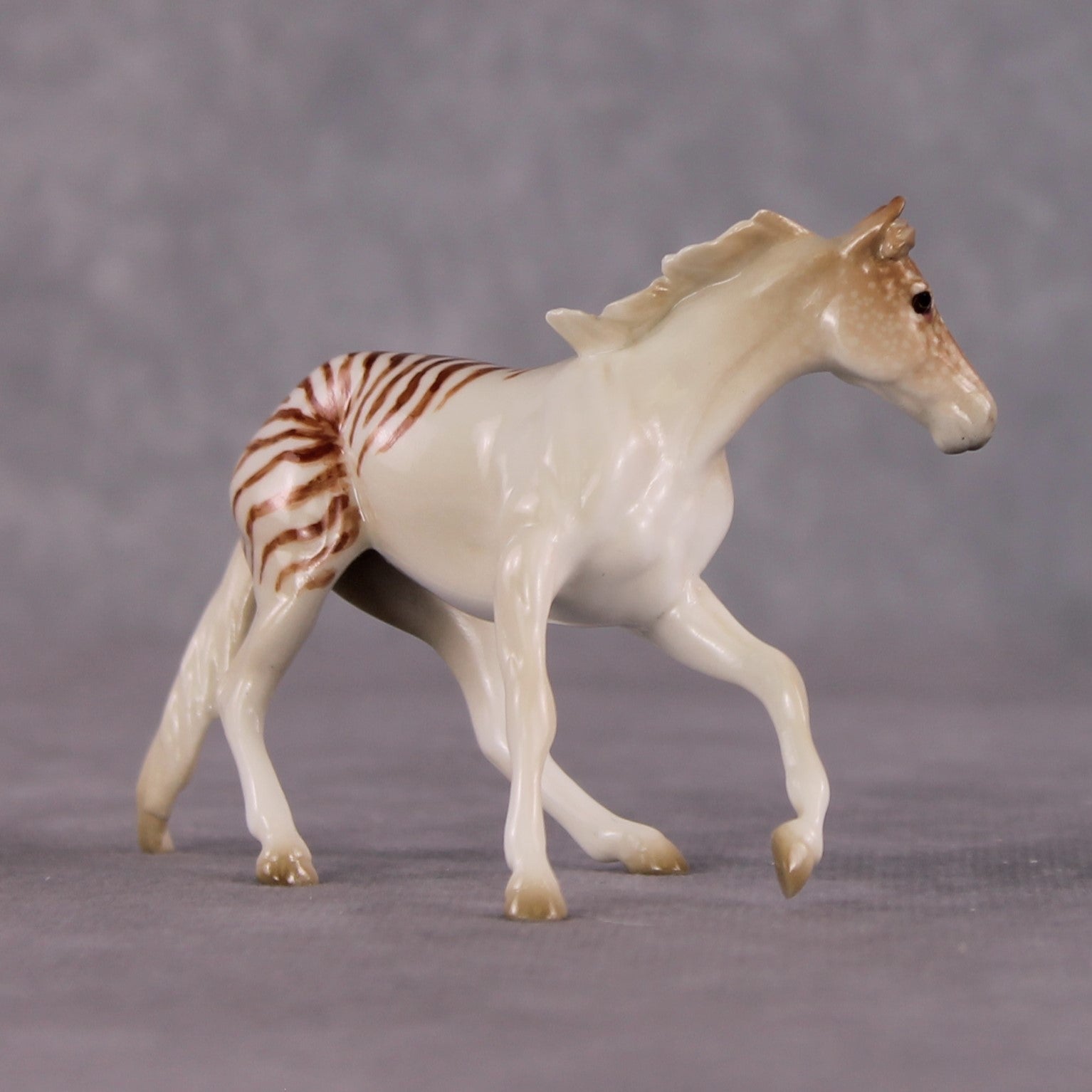 "Nautilus" OOAK Glossy  Nautilus Fish Inspired Cutter Chip by Jess Hamill