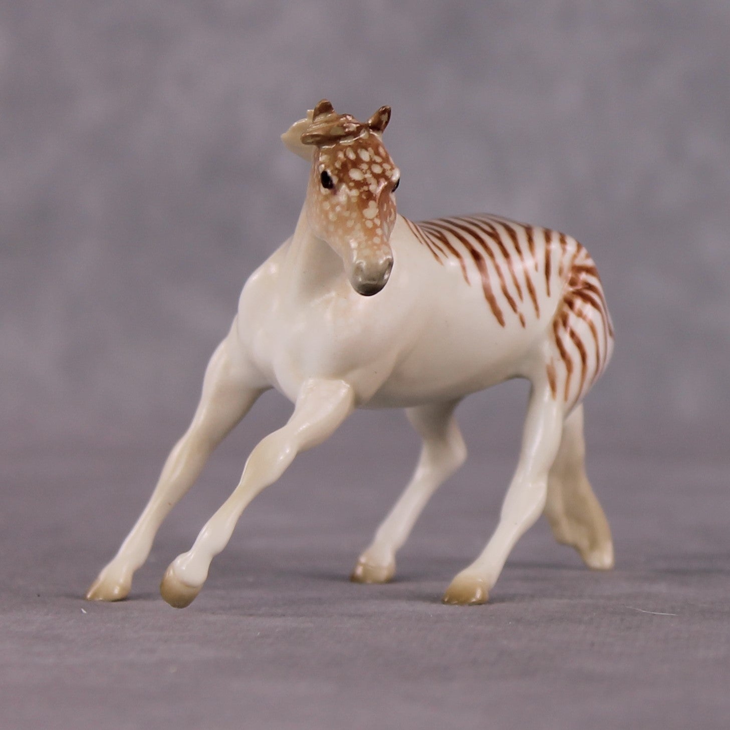 "Nautilus" OOAK Glossy  Nautilus Fish Inspired Cutter Chip by Jess Hamill