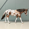 Jersey Bounce OOAK Bay Appaloosa Custom Mule By Sheryl Leisure Best Offers 6/18/24