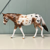 Jersey Bounce OOAK Bay Appaloosa Custom Mule By Sheryl Leisure Best Offers 6/18/24