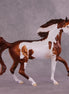 "Fidelia" OOAK FCM Arab Mare by Dawn Quick EQ25