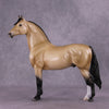 &quot;Pua&quot; OOAK FCM Morgan Stallion by Ellen Robbins EQ25