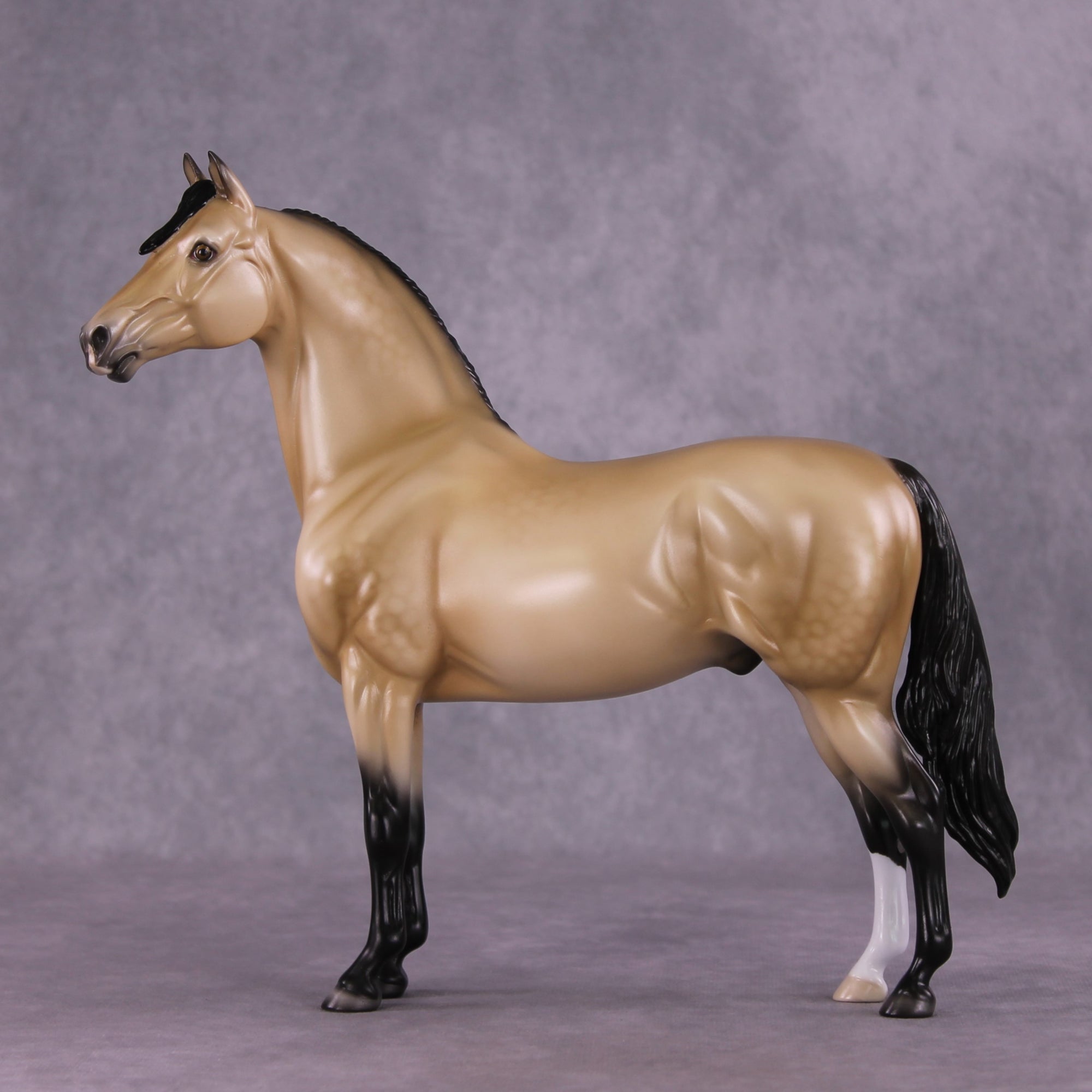 "Pua" OOAK FCM Morgan Stallion by Ellen Robbins EQ25