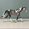 Blow Ye Winds Dappled Grey Tobiano Custom Warmblood Pebble By Ellen Robbins Best Offers 6/18/24