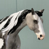 Blow Ye Winds Dappled Grey Tobiano Custom Warmblood Pebble By Ellen Robbins Best Offers 6/18/24