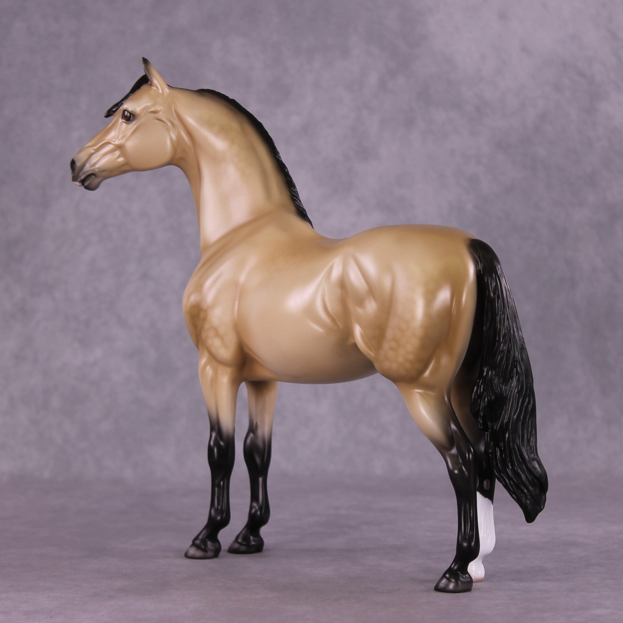 "Pua" OOAK FCM Morgan Stallion by Ellen Robbins EQ25