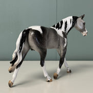 Blow Ye Winds Dappled Grey Tobiano Custom Warmblood Pebble By Ellen Robbins Best Offers 6/18/24
