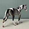 Blow Ye Winds Dappled Grey Tobiano Custom Warmblood Pebble By Ellen Robbins Best Offers 6/18/24