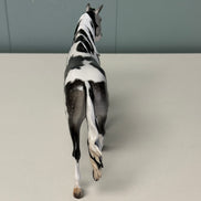 Blow Ye Winds Dappled Grey Tobiano Custom Warmblood Pebble By Ellen Robbins Best Offers 6/18/24