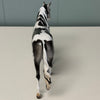 Blow Ye Winds Dappled Grey Tobiano Custom Warmblood Pebble By Ellen Robbins Best Offers 6/18/24