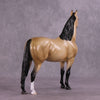 &quot;Pua&quot; OOAK FCM Morgan Stallion by Ellen Robbins EQ25