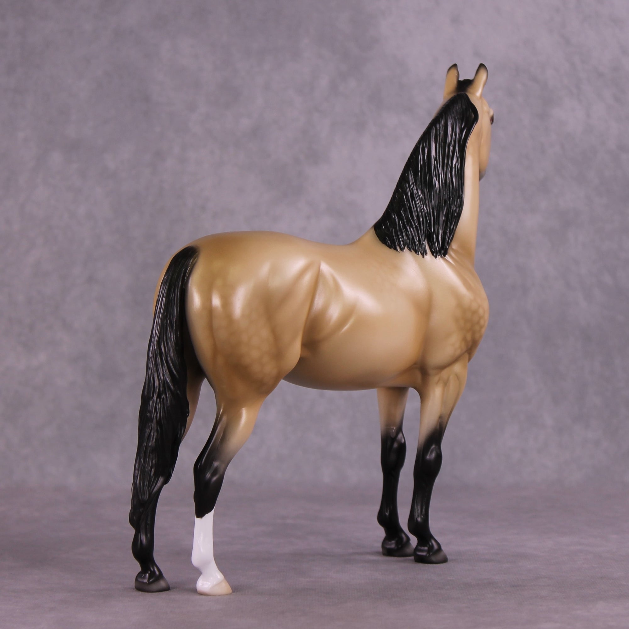"Pua" OOAK FCM Morgan Stallion by Ellen Robbins EQ25