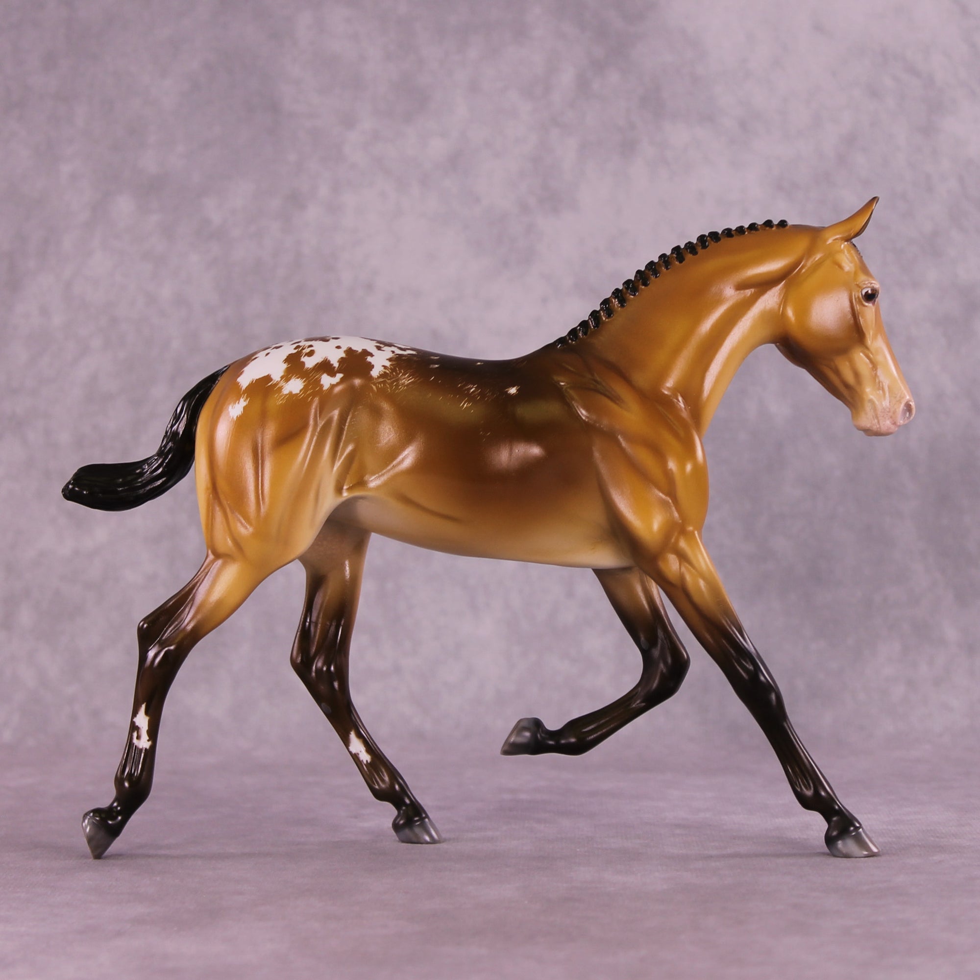 Wap Me Purdy OOAK EFCM Arabian Yearling by Tiffany Purdy GS925