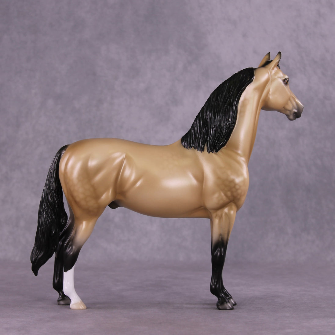 "Pua" OOAK FCM Morgan Stallion by Ellen Robbins EQ25