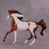 &quot;Fidelia&quot; OOAK FCM Arab Mare by Dawn Quick EQ25