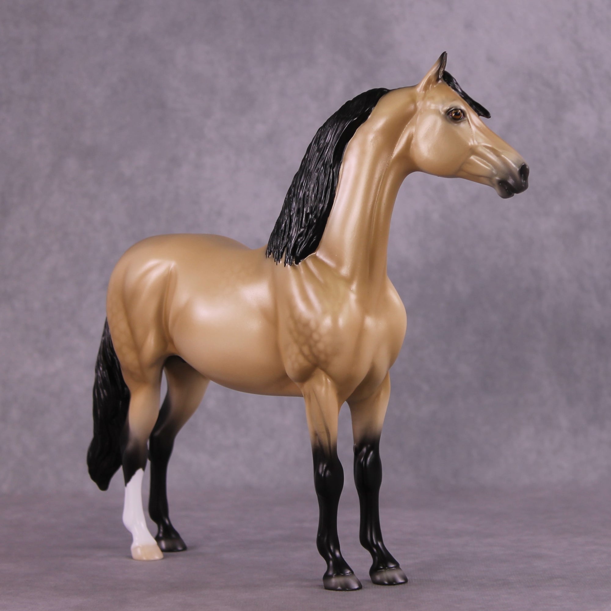 "Pua" OOAK FCM Morgan Stallion by Ellen Robbins EQ25