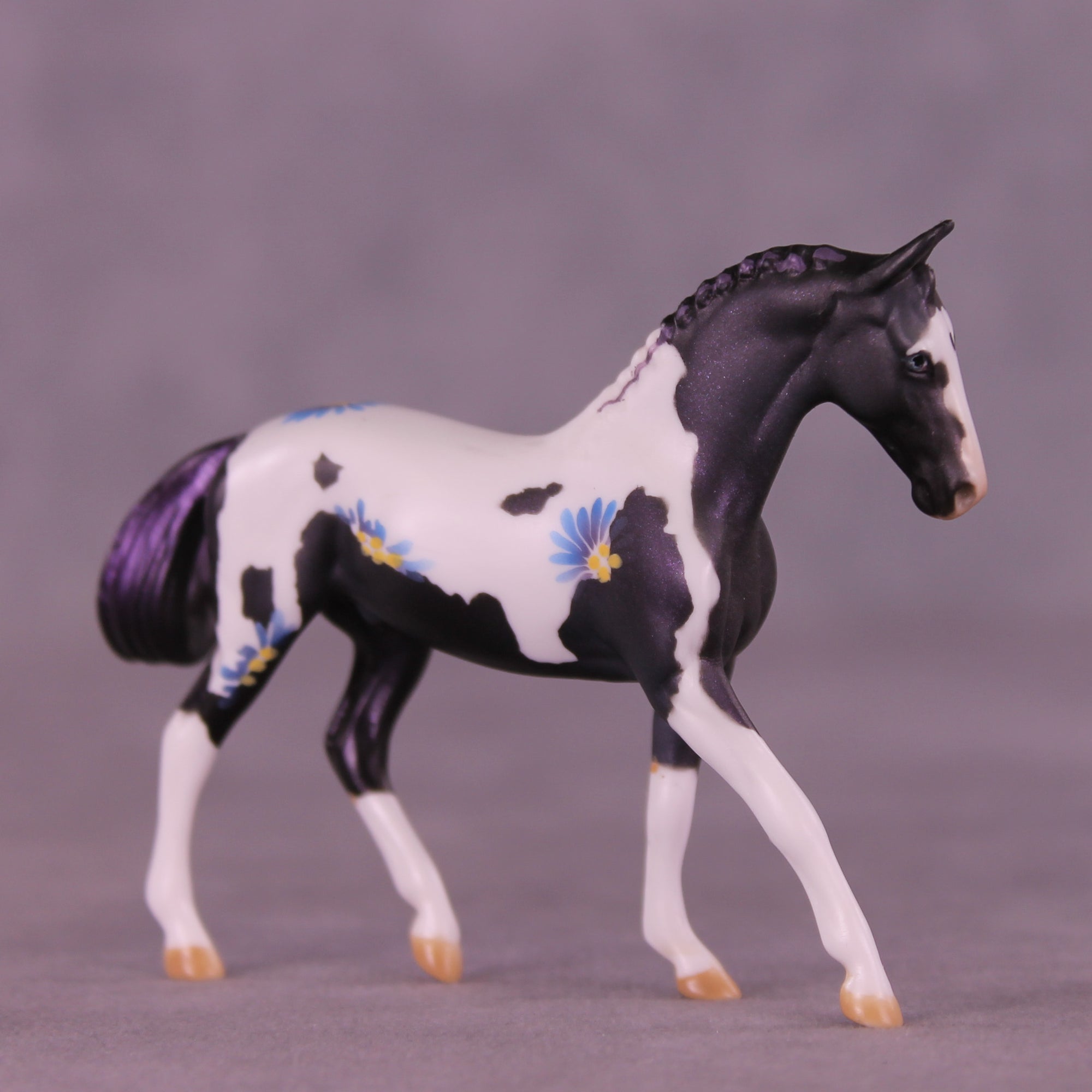 SAMPLE Splendor LE-6 FCM Chip Warmblood by Dawn Quick HS25
