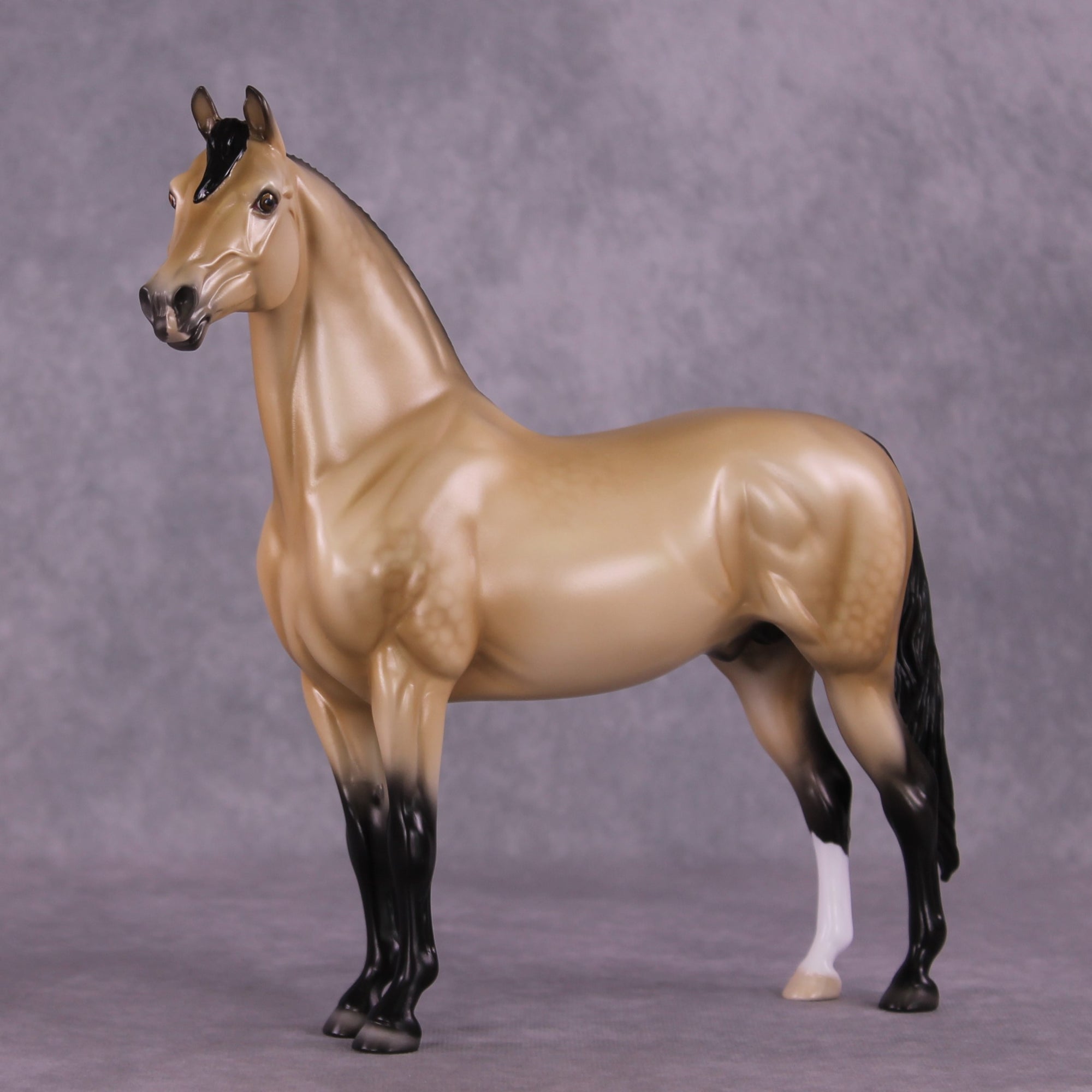 "Pua" OOAK FCM Morgan Stallion by Ellen Robbins EQ25