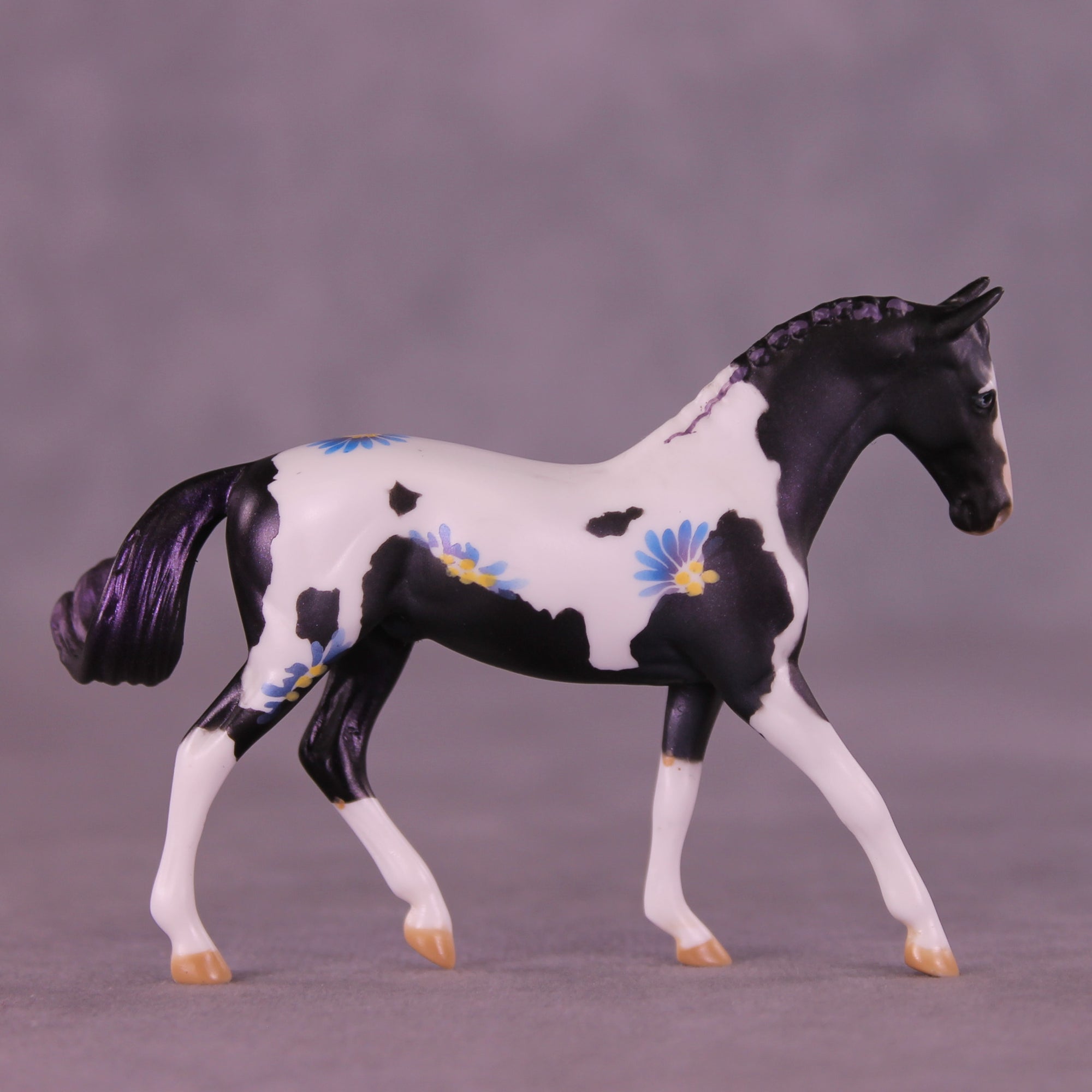 SAMPLE Splendor LE-6 FCM Chip Warmblood by Dawn Quick HS25