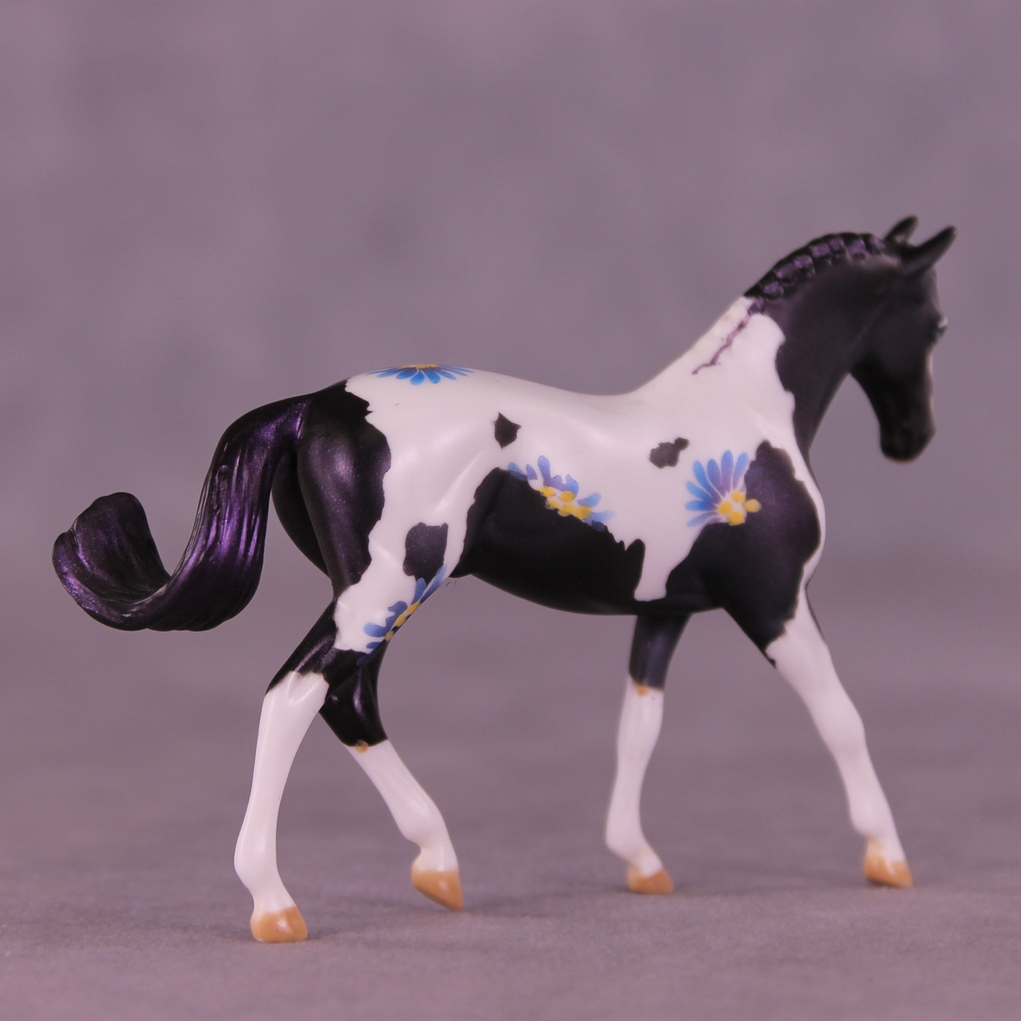SAMPLE Splendor LE-6 FCM Chip Warmblood by Dawn Quick HS25