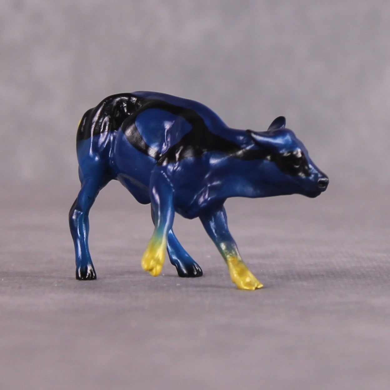 "Maui" OOAK Glossy Blue Tang Fish Inspired Calf Chip by Jess Hamill