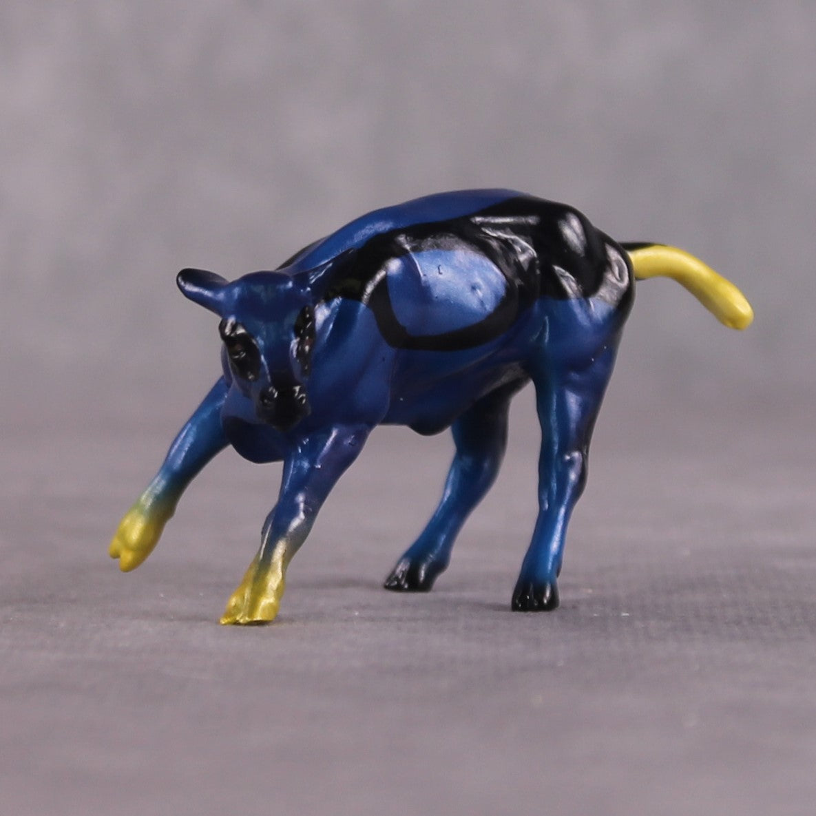 "Maui" OOAK Glossy Blue Tang Fish Inspired Calf Chip by Jess Hamill