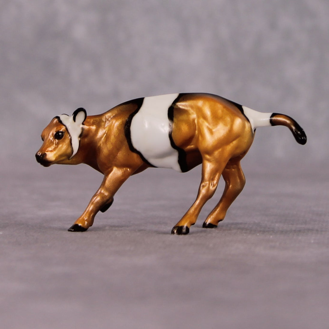 "Anemone" OOAK Glossy Clown Fish Inspired Calf Chip by Jess Hamill