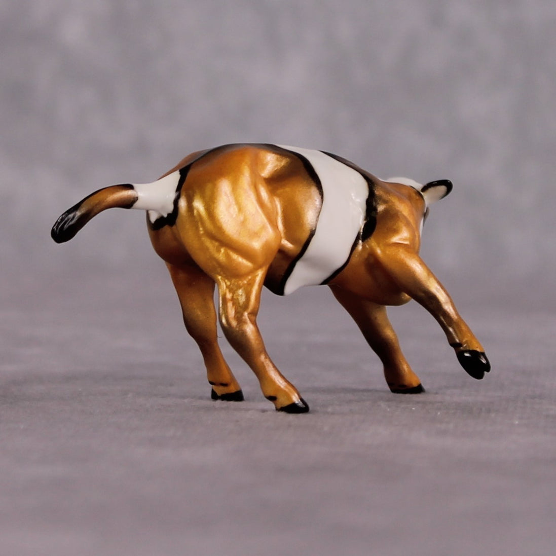 "Anemone" OOAK Glossy Clown Fish Inspired Calf Chip by Jess Hamill