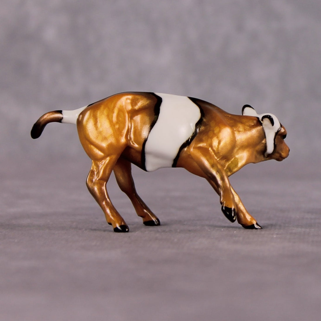 "Anemone" OOAK Glossy Clown Fish Inspired Calf Chip by Jess Hamill