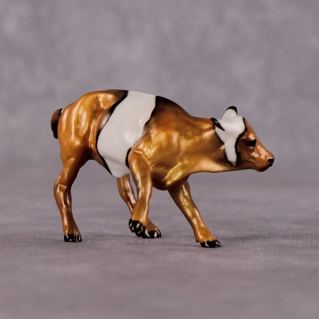 "Anemone" OOAK Glossy Clown Fish Inspired Calf Chip by Jess Hamill