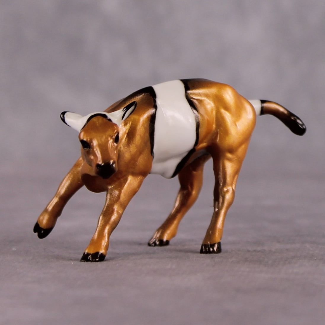"Anemone" OOAK Glossy Clown Fish Inspired Calf Chip by Jess Hamill