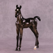 Bint Moriah OOAK FCM Arabian Foal by Tiffany Purdy GS925