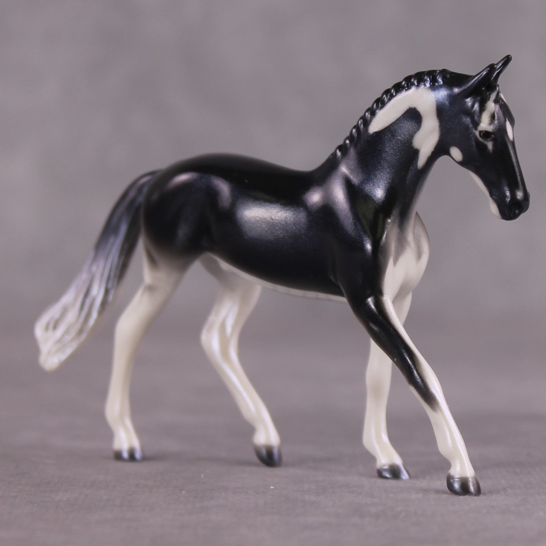 "Ray" OOAK Glossy Giant Atlantic Manta Ray Inspired Warmblood Chip by Jess Hamill