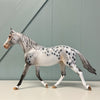 Burzliwy OOAK Grey Appaloosa Custom Palouse By Dawn Quick Best Offers 6/18/24