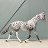 Burzliwy OOAK Grey Appaloosa Custom Palouse By Dawn Quick Best Offers 6/18/24