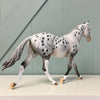 Burzliwy OOAK Grey Appaloosa Custom Palouse By Dawn Quick Best Offers 6/18/24