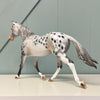 Burzliwy OOAK Grey Appaloosa Custom Palouse By Dawn Quick Best Offers 6/18/24