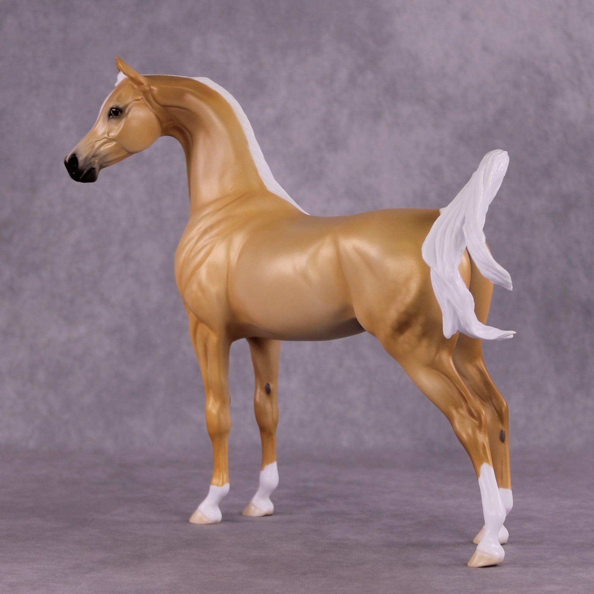 "Kailani" OOAK FCM Arabian Stallion by Ellen Robbins EQ25